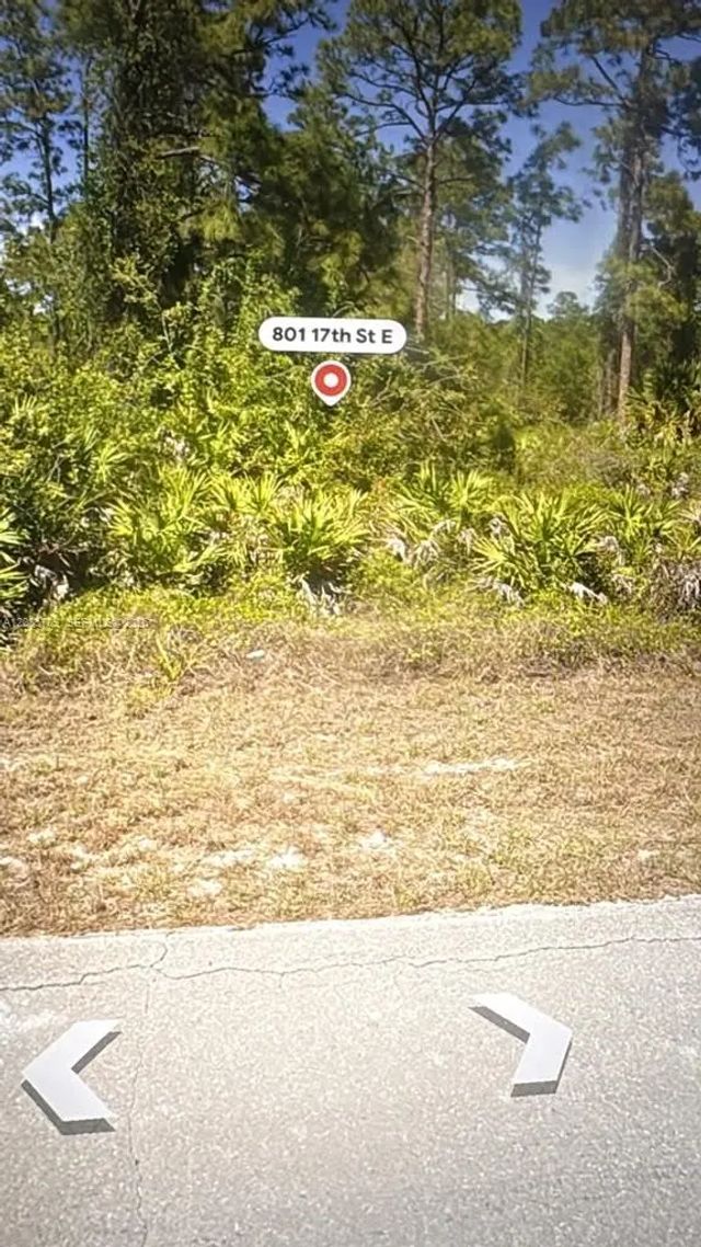 2 of 3 - 801 E 17th Street, Lehigh Acres, FL