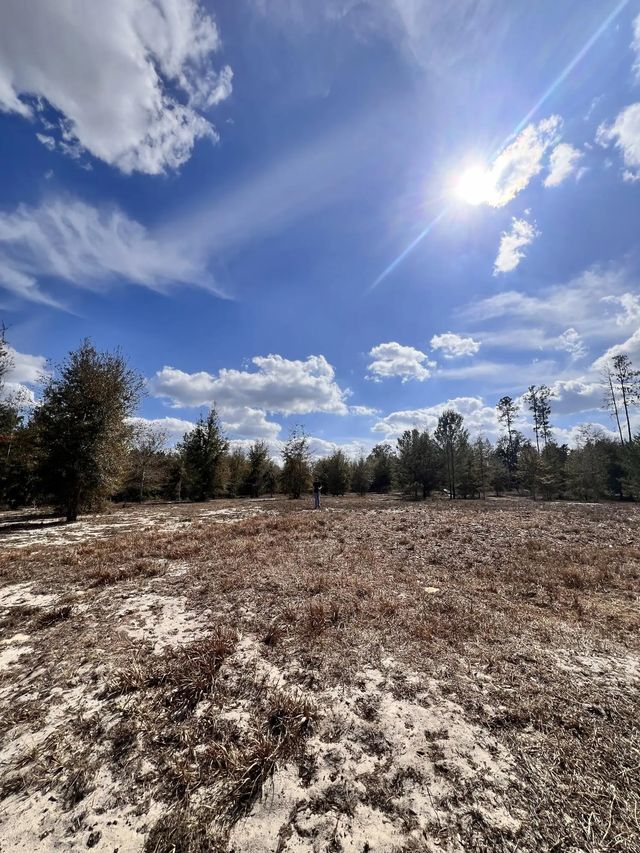 2 of 19 - 0 Root Road, Brooksville, FL