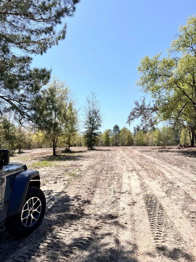 3 of 19 - 0 Root Road, Brooksville, FL