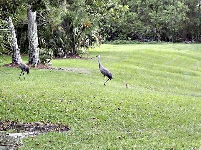 4 of 21 - 1604 Se Green Acres Circle #t103, Port St. Lucie, FL