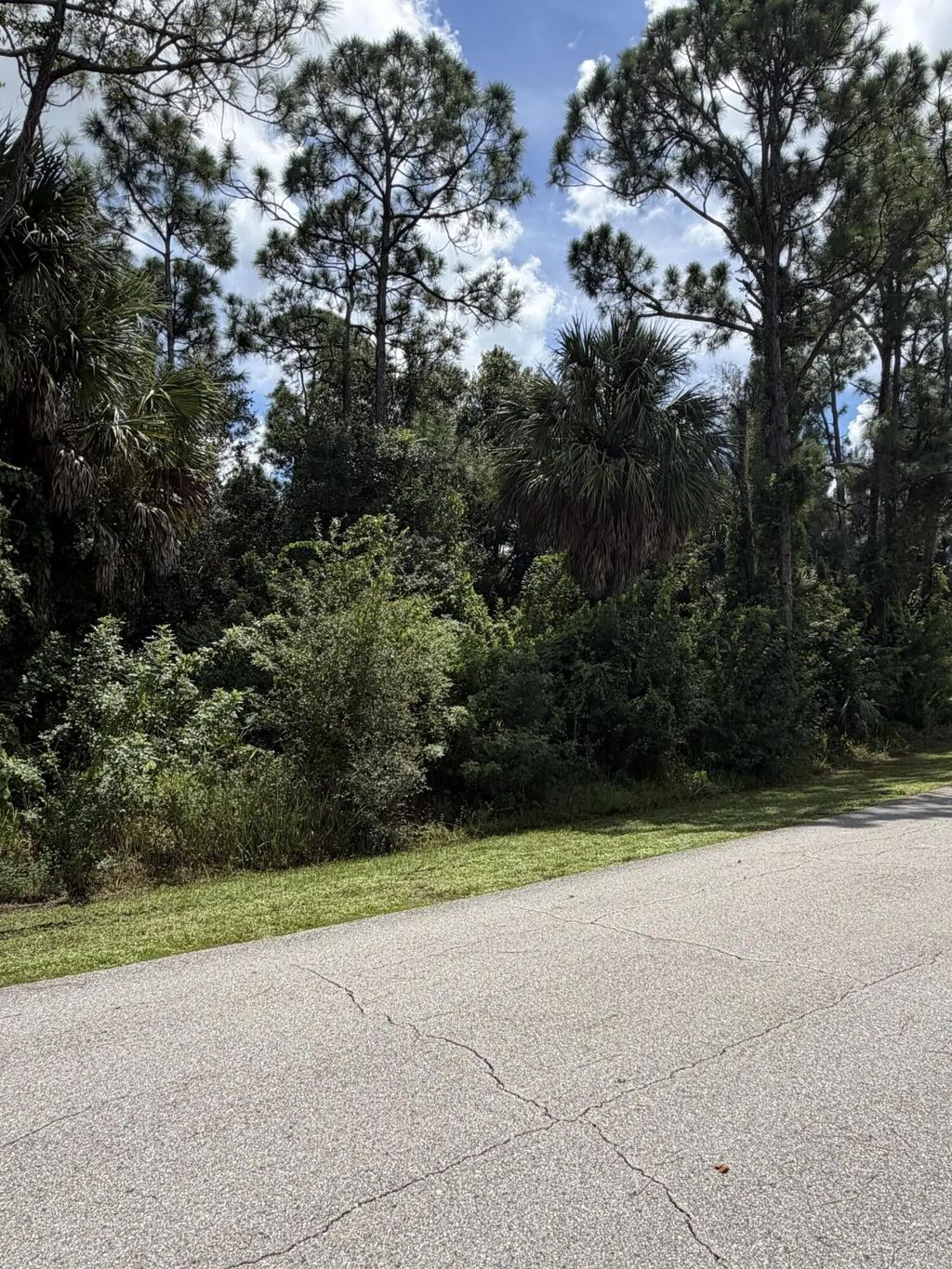 12100 Borax Avenue, Punta Gorda