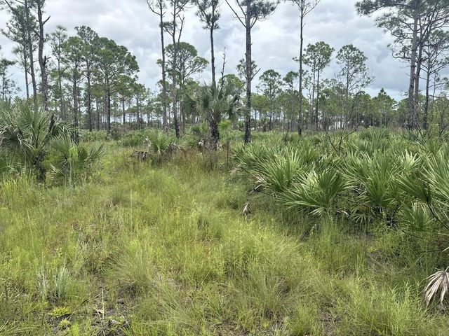 2 of 4 - 0 Grant Road, Grant Valkaria, FL