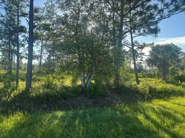 3 of 4 - 0 Grant Road, Grant Valkaria, FL