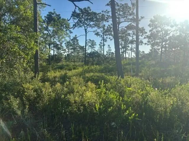4 of 4 - 0 Grant Road, Grant Valkaria, FL