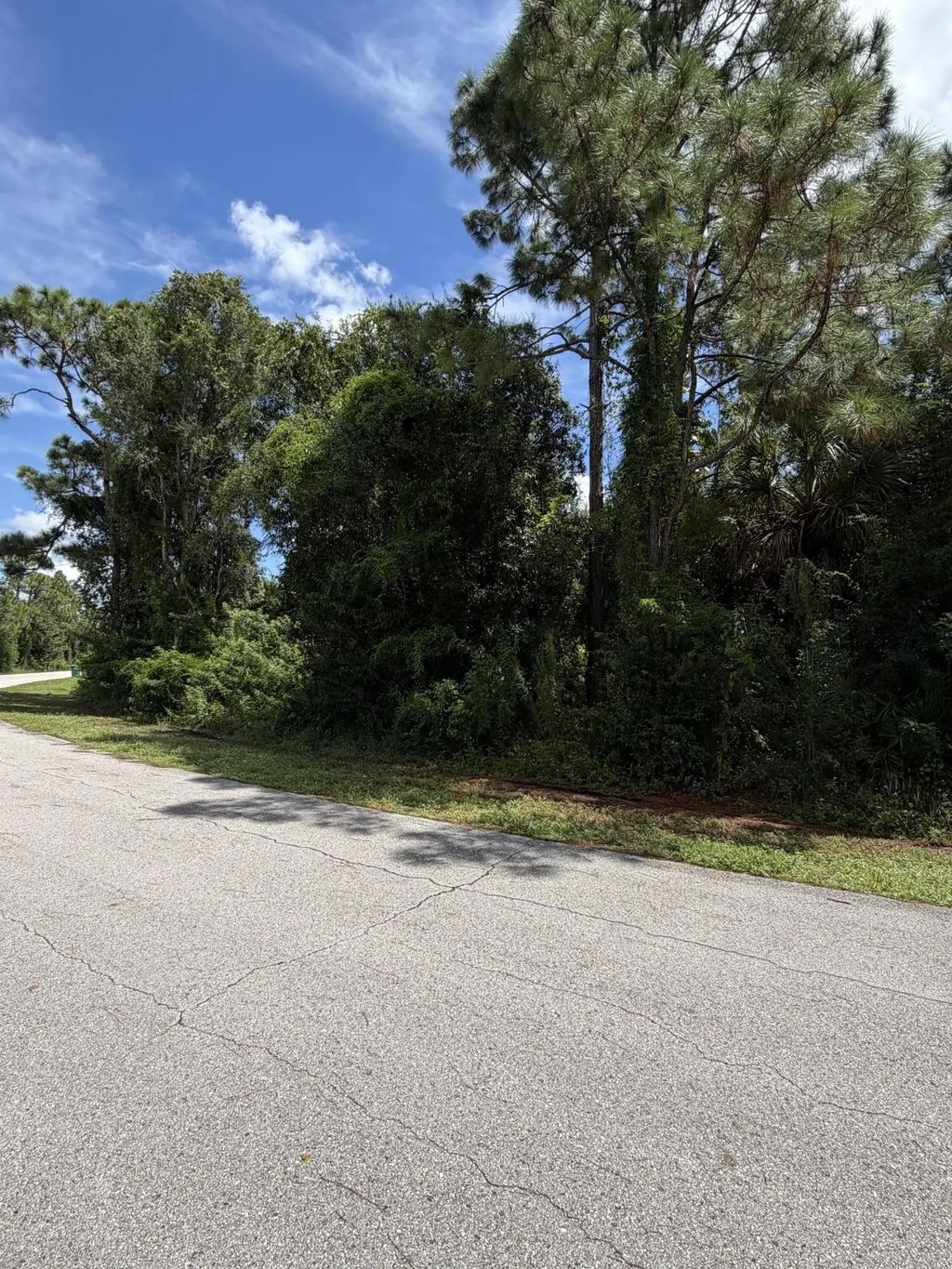 12094 Borax Avenue, Punta Gorda