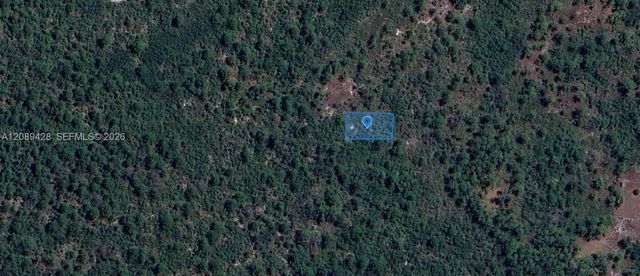 4 of 7 - 305 Dolly Lane, Lake Placid, FL