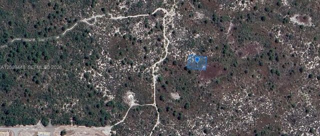 4 of 7 - 431 Lucille Lane, Lake Placid, FL