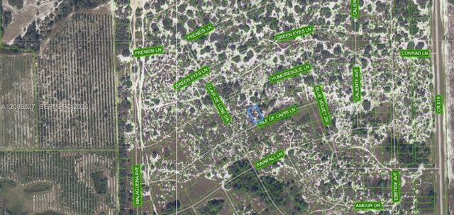 5 of 8 - 462 Isle Of Capri Lane, Lake Placid, FL