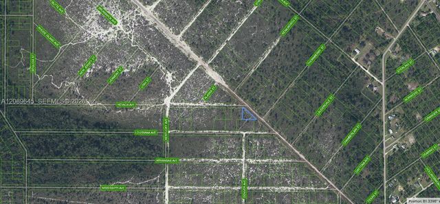 3 of 3 - 536 Nevada Avenue, Lake Placid, FL