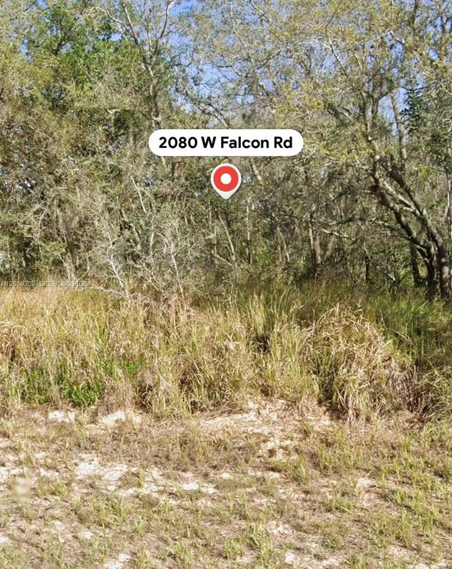 2080 W Falcon Road, Avon Park