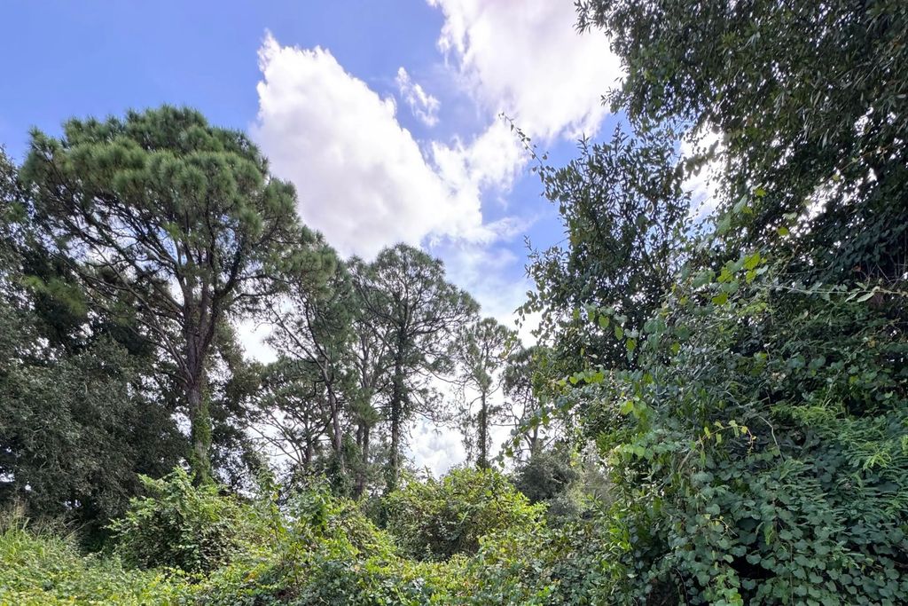 6801 Deland Avenue, Fort Pierce