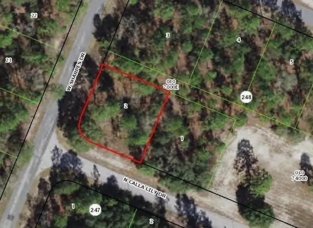 9735 N Calla Lily Way, Dunnellon