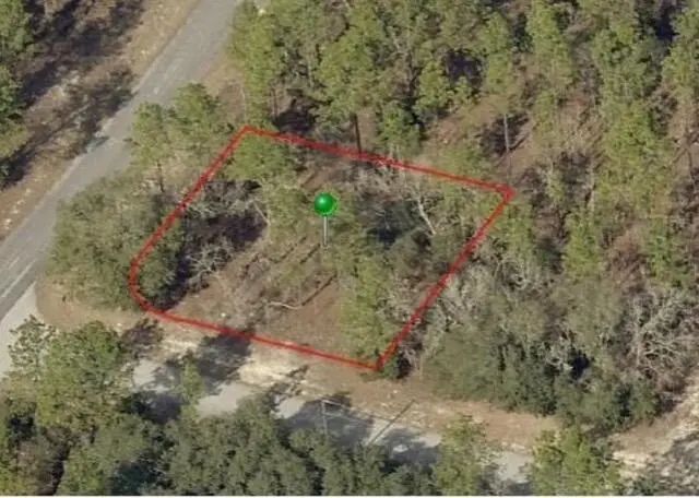 2 of 3 - 9735 N Calla Lily Way, Dunnellon, FL