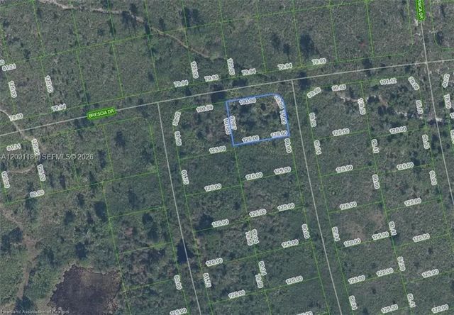 4739 Obispo Avenue, Sebring