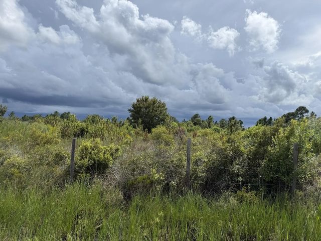 4 of 12 - 18076 Nw 276th Street, Okeechobee, FL
