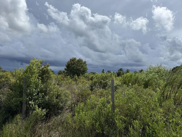 5 of 12 - 18076 Nw 276th Street, Okeechobee, FL