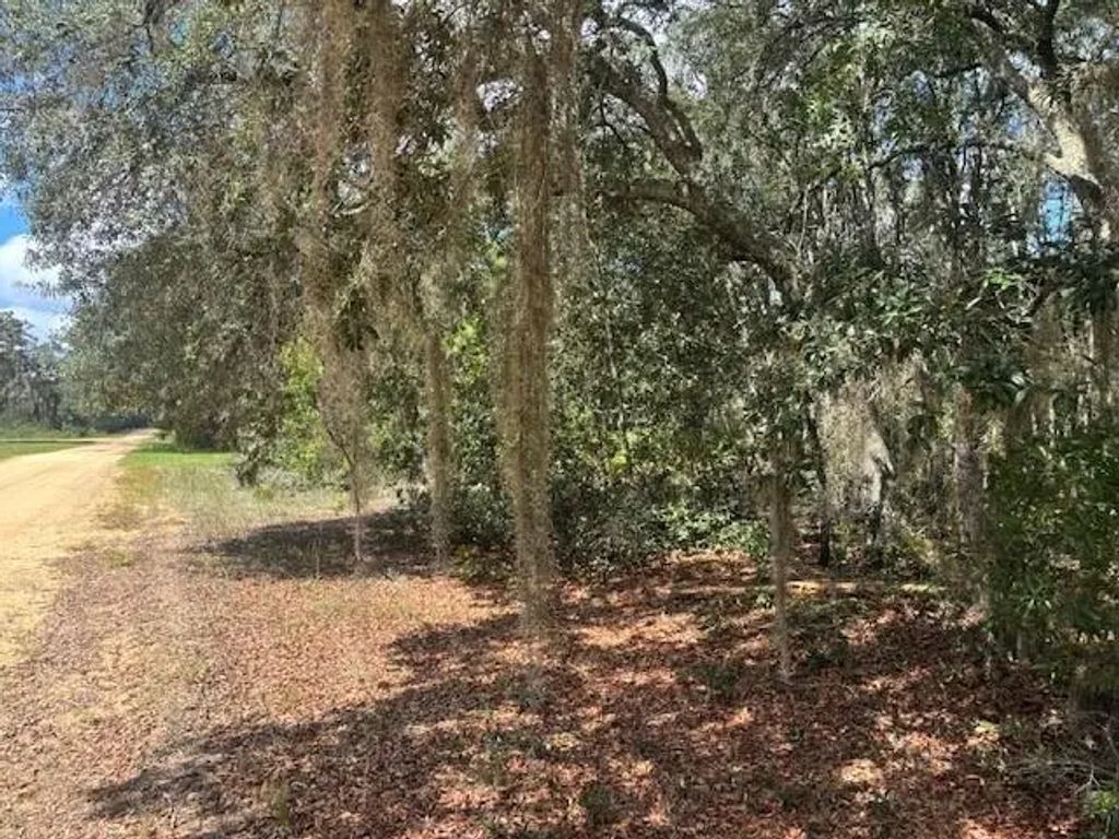 0 Hurley Street, Interlachen