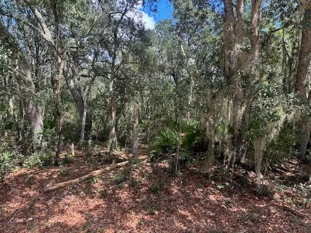 2 of 3 - 0 Hurley Street, Interlachen, FL
