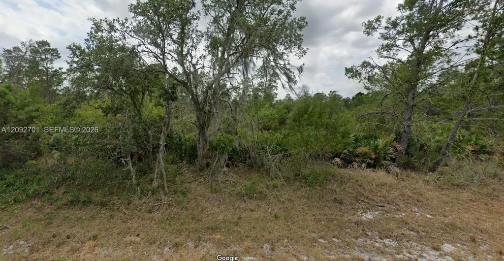 8005 Campo Sano Street, Sebring