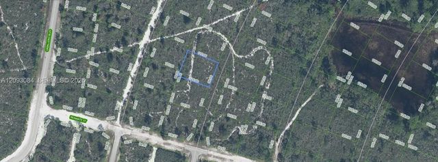 6658 Cotorro Drive, Sebring