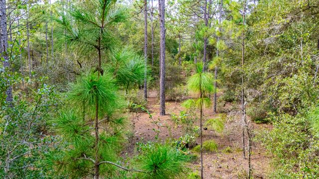 4 of 4 - 15515 Sw 25th Place, Ocala, FL