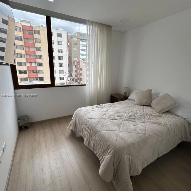 3 of 17 - 178 Calle Voz Andes Y San Francisco #403, , 