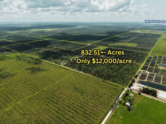 17515 Boney Road, Sebring