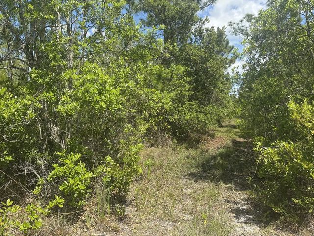 2 of 2 - 0 Holopaw Groves Road, St. Cloud, FL
