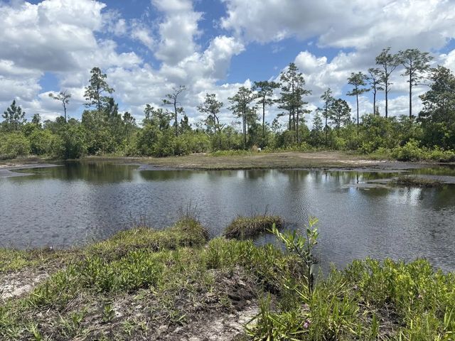 3 of 3 - 0 Holopaw Groves Road, St. Cloud, FL