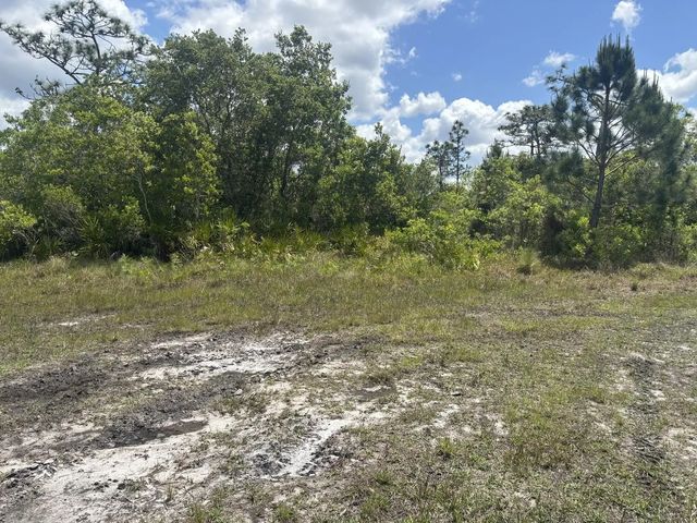 2 of 3 - 0 Holopaw Groves Road, St. Cloud, FL