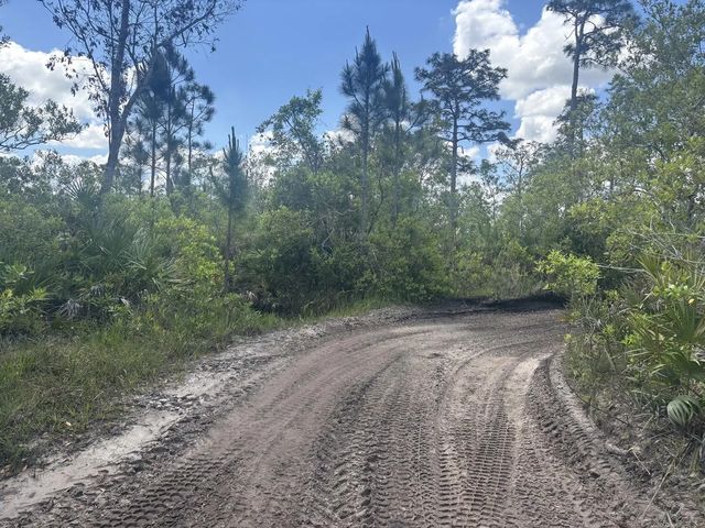 2 of 3 - 0 Holopaw Groves Road, St. Cloud, FL