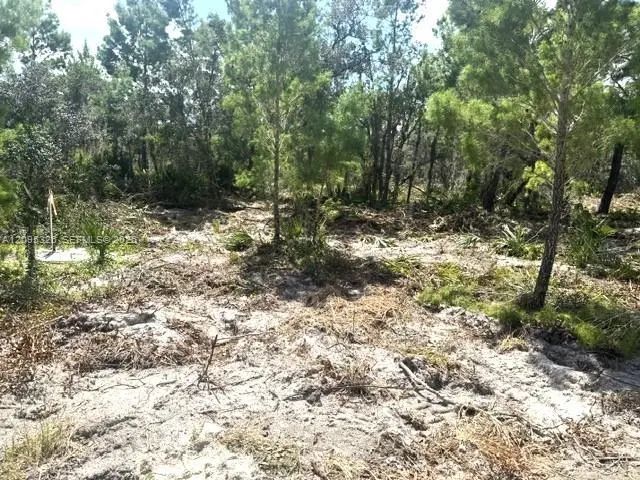 206 Oriole Avenue, Sebring