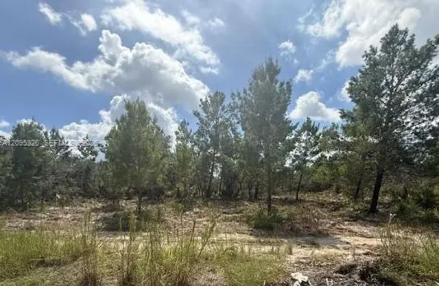 3 of 11 - 206 Oriole Avenue, Sebring, FL