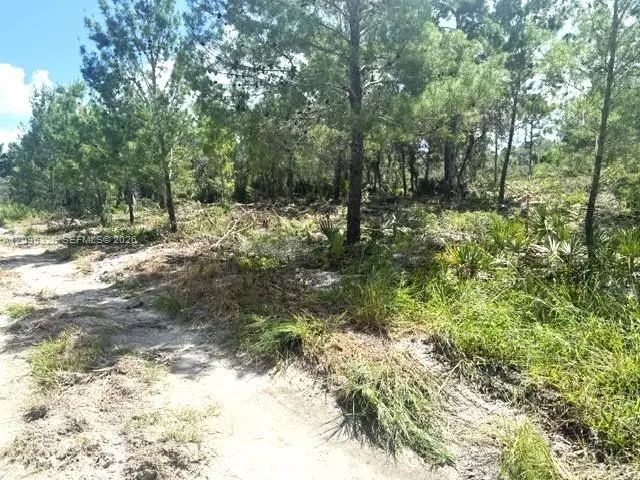 5 of 11 - 206 Oriole Avenue, Sebring, FL