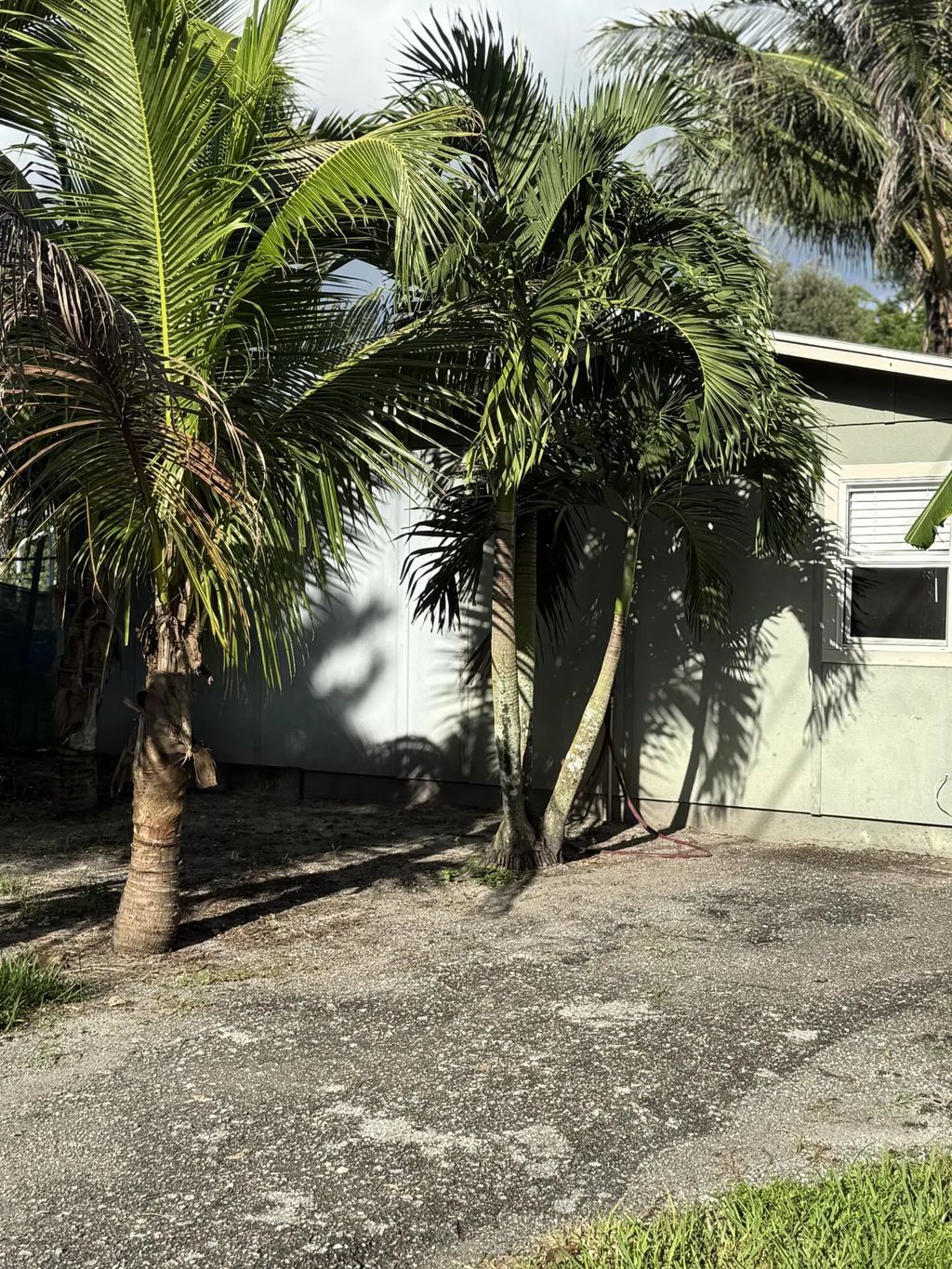 151 Valencia Drive, Loxahatchee
