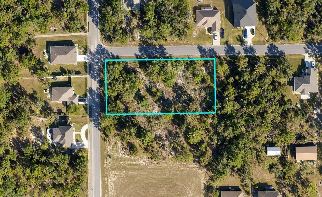 12194 Labrador Duck Road, Brooksville