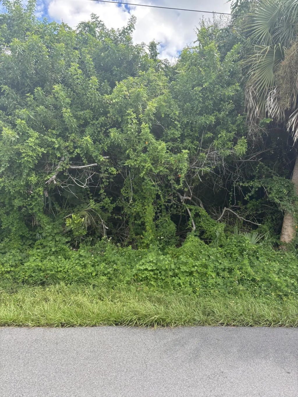 4211 Talheim Street, Port Charlotte