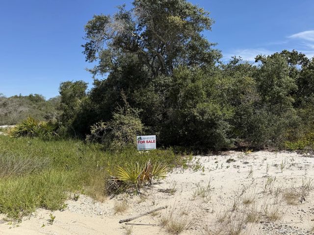 5 of 6 - 229 Rhythm Drive, Lake Placid, FL