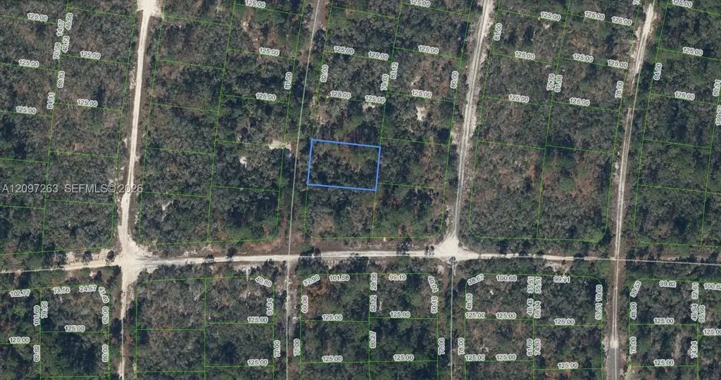 305 Blue Heaven Drive, Lake Placid
