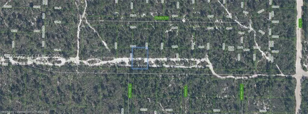 1238 Hyacinth Avenue, Sebring