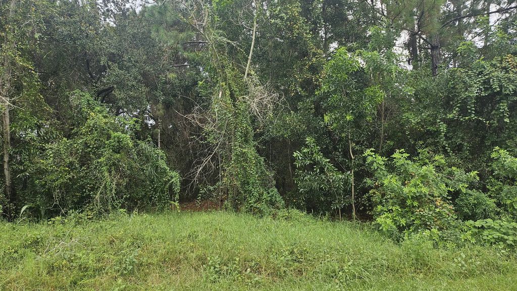 5439 Nw Thyer Circle, Port St. Lucie