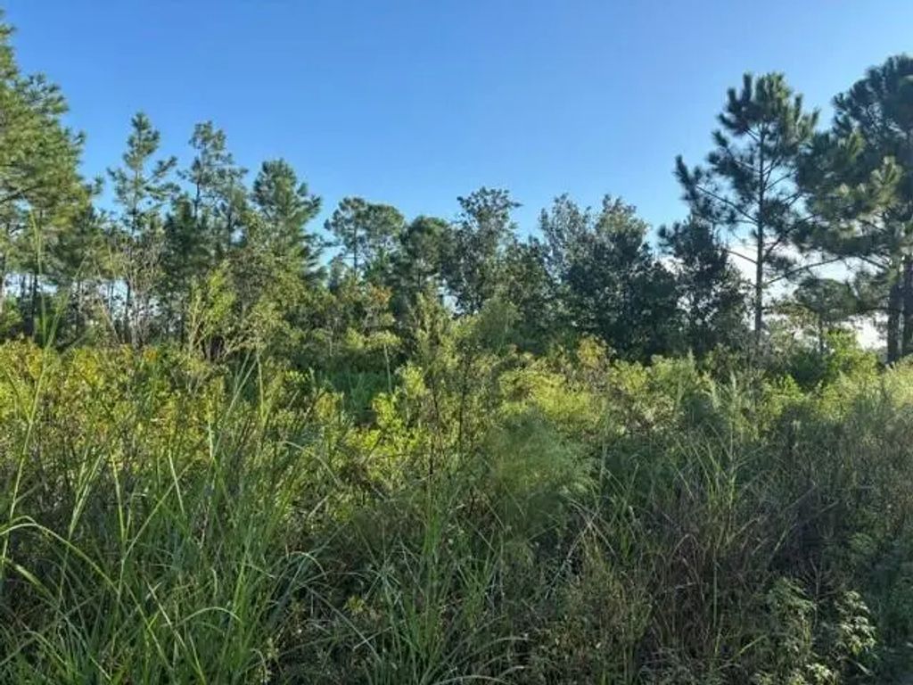 720 Parrot Avenue, Sebring