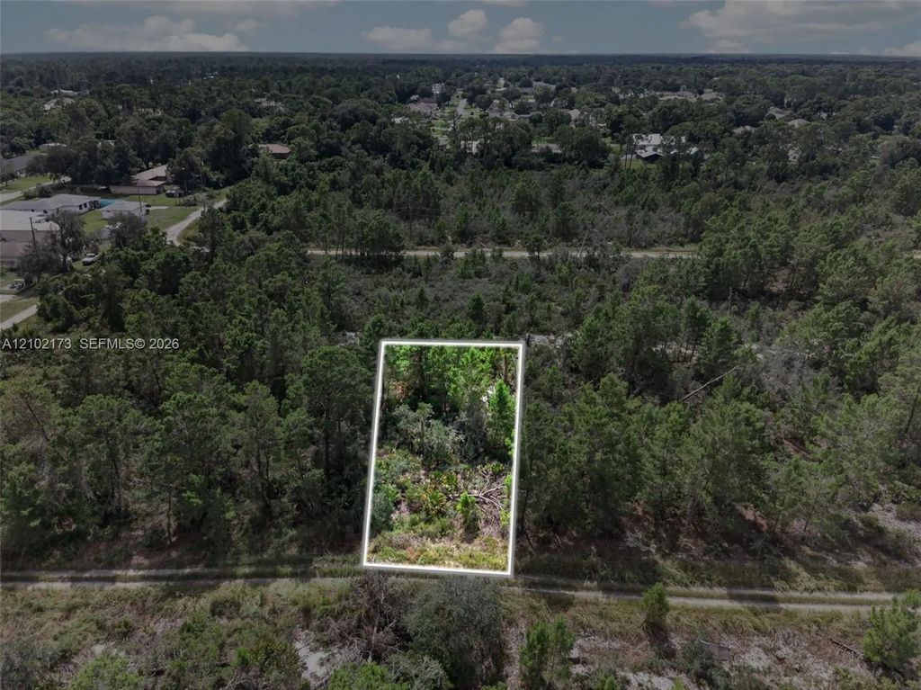 411 Scaup Avenue, Sebring