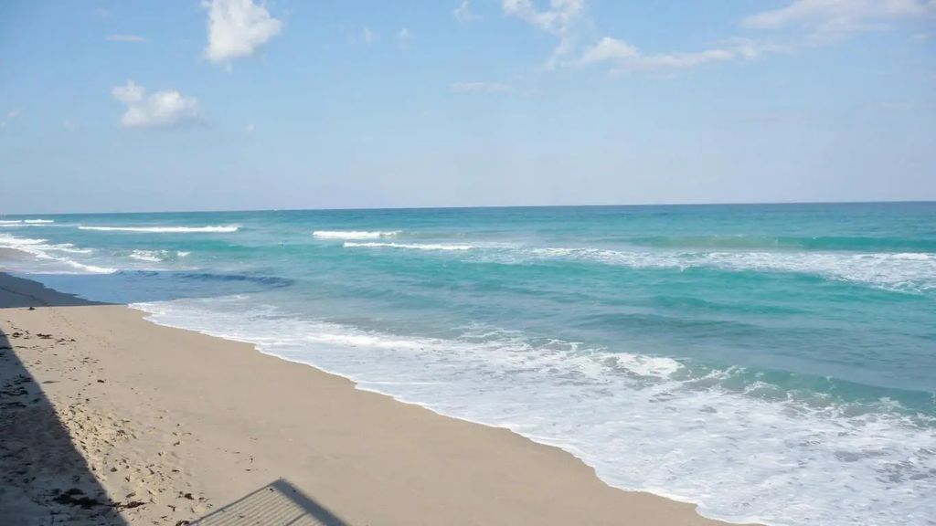 3450 S South Ocean Boulevard S #223, Palm Beach