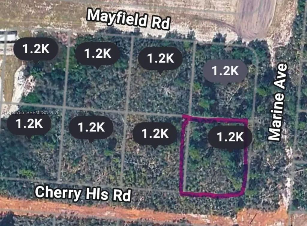 25139 Marine Avenue, Sebring
