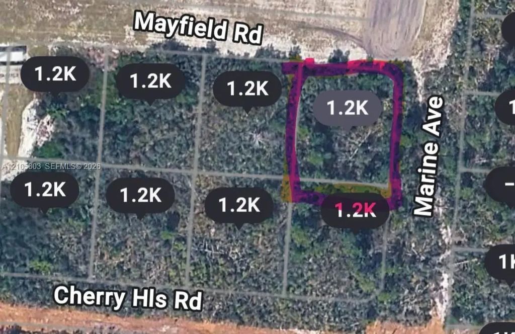 25153 Marine Avenue, Sebring