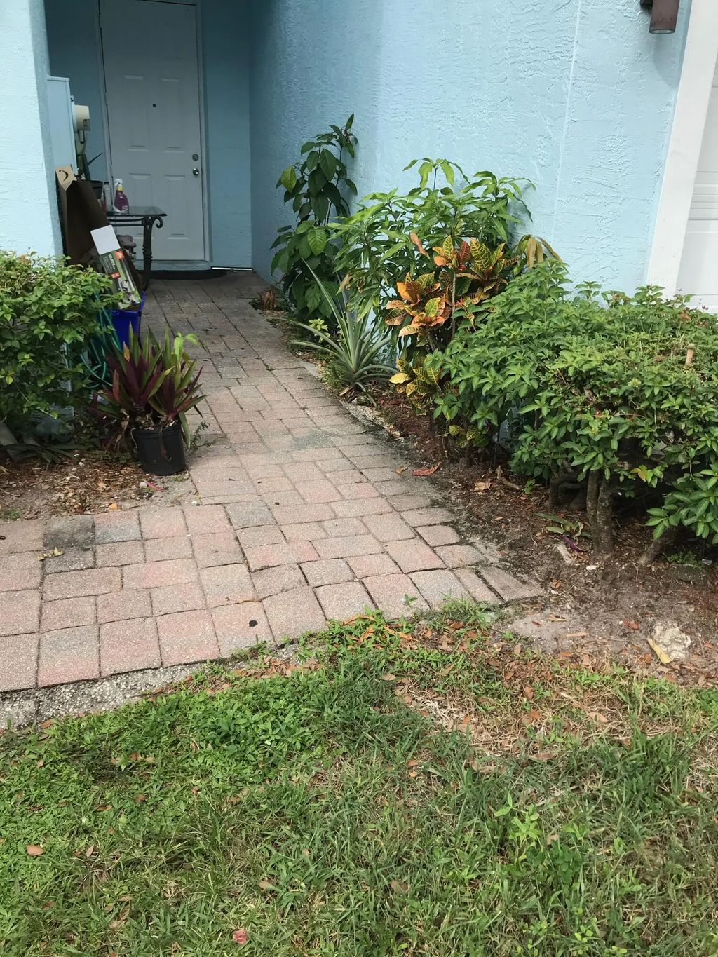 5166  Se White Oleander #5166, West Palm Beach