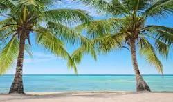 4 of 32 - 1248 Surf Rd #5, Singer Island, FL