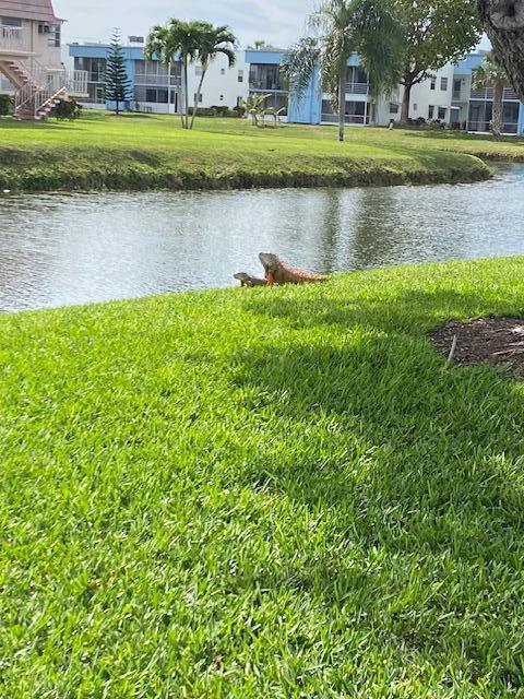 2 of 26 - 349 Flanders H, Delray Beach, FL