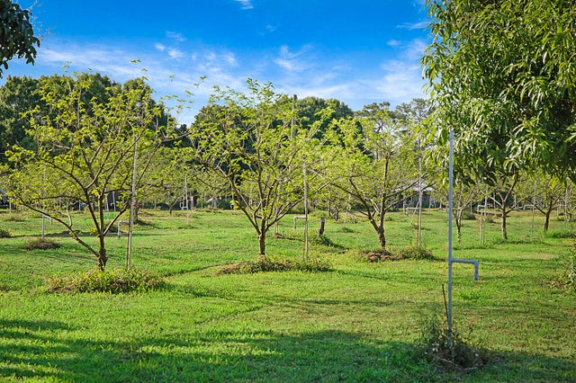 4 of 31 - 3057 D Road, Loxahatchee Groves, FL